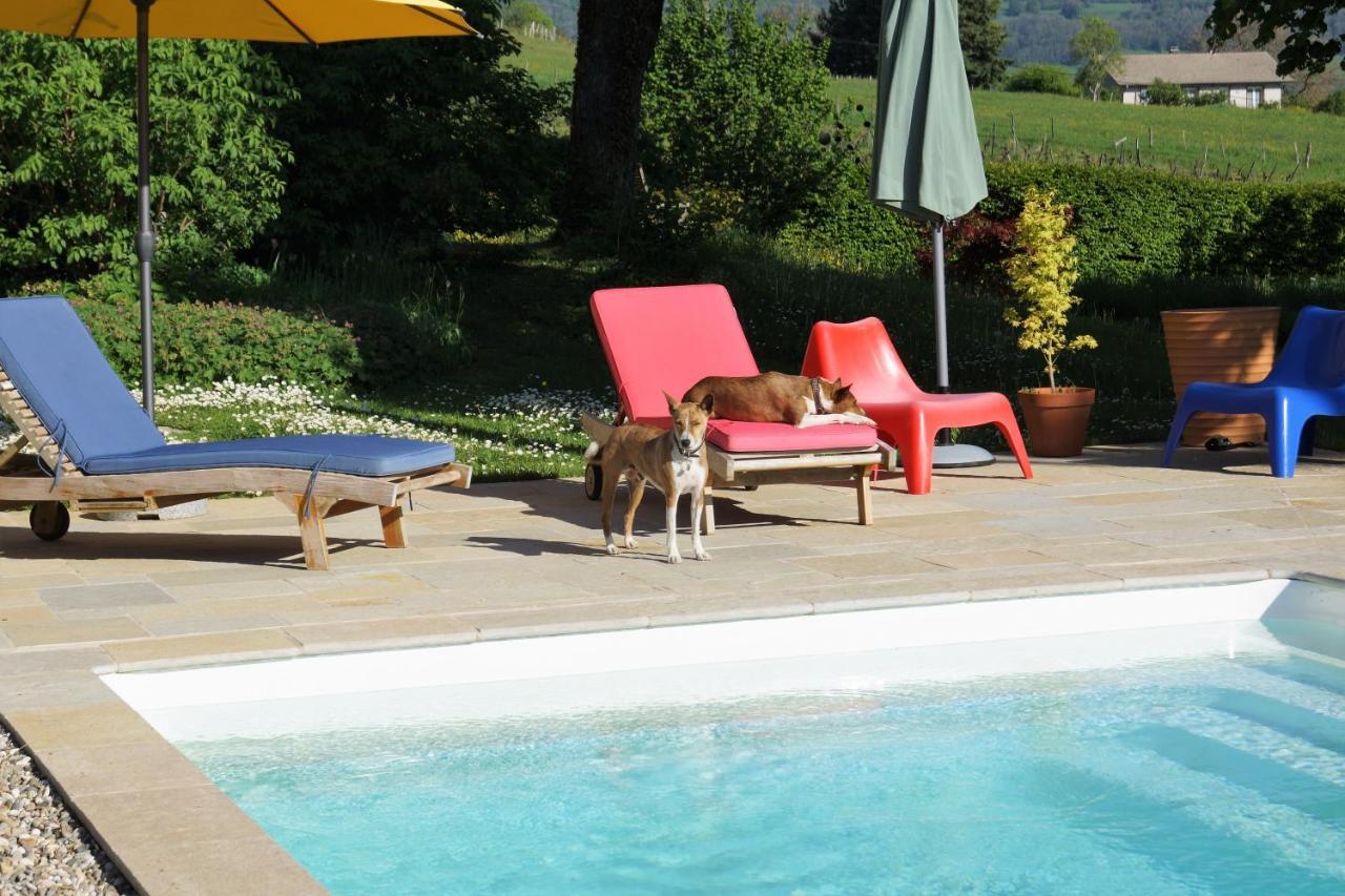 Domaine De Saint Loth' Bed & Breakfast エクステリア 写真