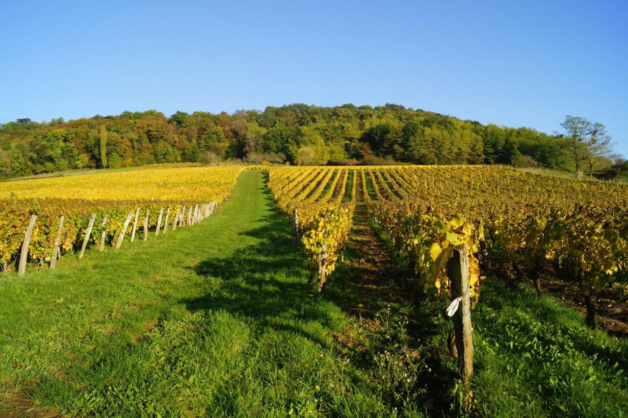 Domaine De Saint Loth' Bed & Breakfast エクステリア 写真