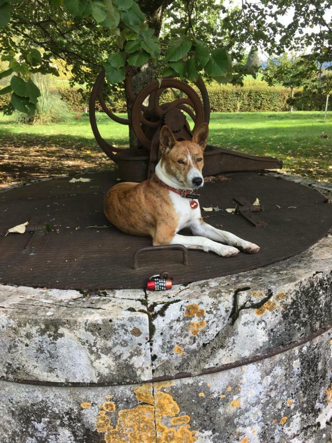 Domaine De Saint Loth' Bed & Breakfast エクステリア 写真